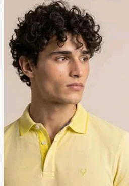 Allen Solly Men’s Pastel Shade Polo T‑Shirt | Bird’s Eye Knit Texture | Soft Cotton‑Blend | Regular Fit | Half Sleeves | Casual Everyday Wear