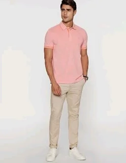 Allen Solly Men’s Pastel Shade Polo T‑Shirt | Bird’s Eye Knit Texture | Soft Cotton‑Blend | Regular Fit | Half Sleeves | Casual Everyday Wear