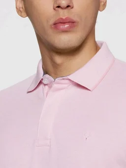 Allen Solly Men’s Pastel Shade Polo T‑Shirt | Bird’s Eye Knit Texture | Soft Cotton‑Blend | Regular Fit | Half Sleeves | Casual Everyday Wear