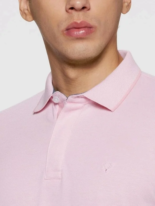 Allen Solly Men’s Pastel Shade Polo T‑Shirt | Bird’s Eye Knit Texture | Soft Cotton‑Blend | Regular Fit | Half Sleeves | Casual Everyday Wear