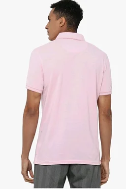 Allen Solly Men’s Pastel Shade Polo T‑Shirt | Bird’s Eye Knit Texture | Soft Cotton‑Blend | Regular Fit | Half Sleeves | Casual Everyday Wear