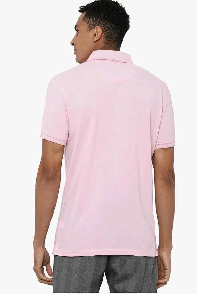 Allen Solly Men’s Pastel Shade Polo T‑Shirt | Bird’s Eye Knit Texture | Soft Cotton‑Blend | Regular Fit | Half Sleeves | Casual Everyday Wear