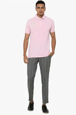 Allen Solly Men’s Pastel Shade Polo T‑Shirt | Bird’s Eye Knit Texture | Soft Cotton‑Blend | Regular Fit | Half Sleeves | Casual Everyday Wear