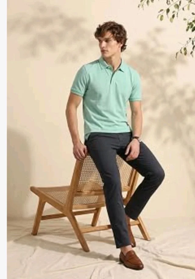 Allen Solly Men’s Pastel Shade Polo T‑Shirt | Bird’s Eye Knit Texture | Soft Cotton‑Blend | Regular Fit | Half Sleeves | Casual Everyday Wear