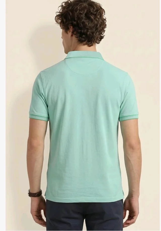 Allen Solly Men’s Pastel Shade Polo T‑Shirt | Bird’s Eye Knit Texture | Soft Cotton‑Blend | Regular Fit | Half Sleeves | Casual Everyday Wear