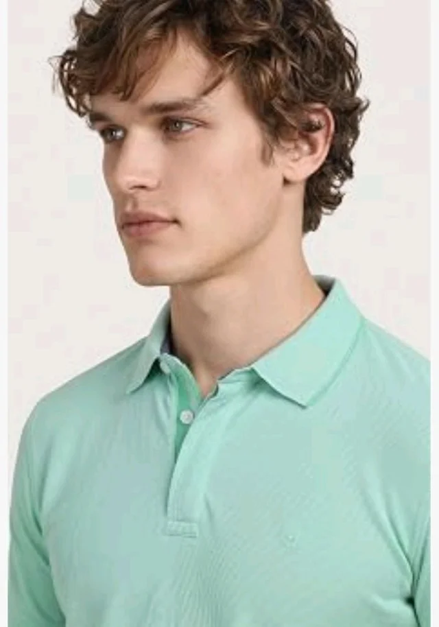 Allen Solly Men’s Pastel Shade Polo T‑Shirt | Bird’s Eye Knit Texture | Soft Cotton‑Blend | Regular Fit | Half Sleeves | Casual Everyday Wear