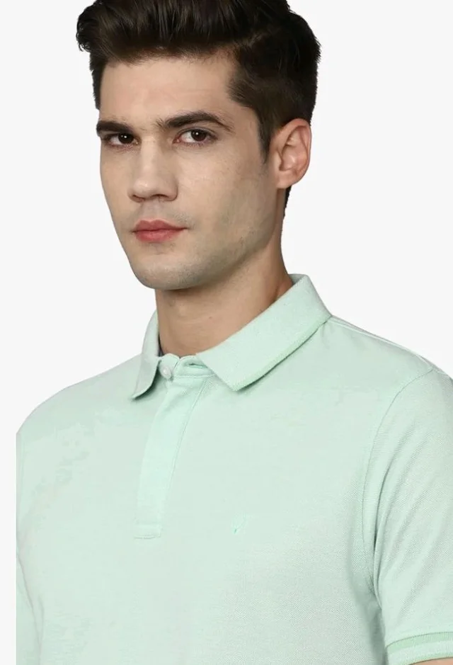 Allen Solly Men’s Pastel Shade Polo T‑Shirt | Bird’s Eye Knit Texture | Soft Cotton‑Blend | Regular Fit | Half Sleeves | Casual Everyday Wear