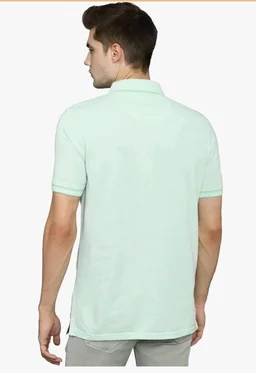 Allen Solly Men’s Pastel Shade Polo T‑Shirt | Bird’s Eye Knit Texture | Soft Cotton‑Blend | Regular Fit | Half Sleeves | Casual Everyday Wear