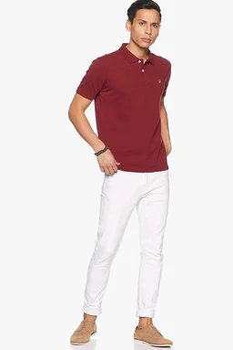 Allen Solly Men’s Polo T‑Shirt | Comfortable Rich Cotton Blend, Band Collar, Regular Fit | Stylish & Premium All Day Wear