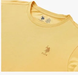 U.S. Polo ASSN. Men T-Shirt
- 2XL