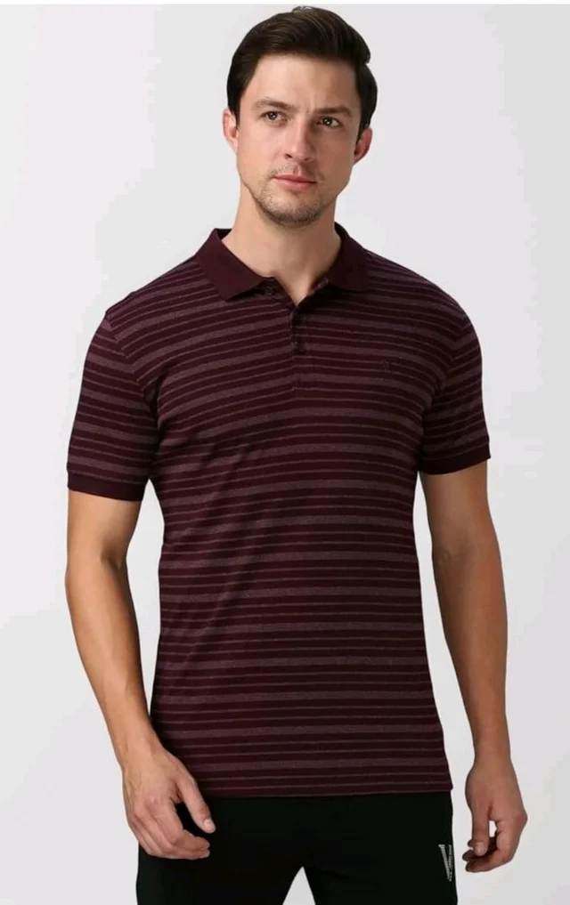 Van Heusen Men’s Striped Regular Fit T-Shirt | Comfortable Polo Neck | Soft Breathable Casual Wear | Summer Favorite | Horizontal Smart Stripes| Style 60063 - S