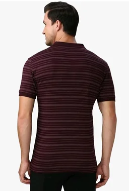 Van Heusen Men’s Striped Regular Fit T-Shirt | Comfortable Polo Neck | Soft Breathable Casual Wear | Summer Favorite | Horizontal Smart Stripes| Style 60063 - S