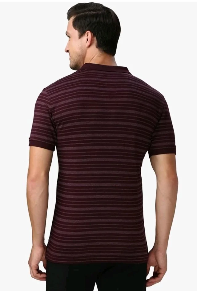 Van Heusen Men’s Striped Regular Fit T-Shirt | Comfortable Polo Neck | Soft Breathable Casual Wear | Summer Favorite | Horizontal Smart Stripes| Style 60063 - S