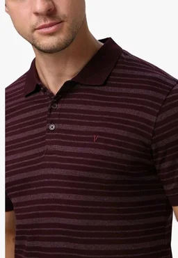 Van Heusen Men’s Striped Regular Fit T-Shirt | Comfortable Polo Neck | Soft Breathable Casual Wear | Summer Favorite | Horizontal Smart Stripes| Style 60063 - S
