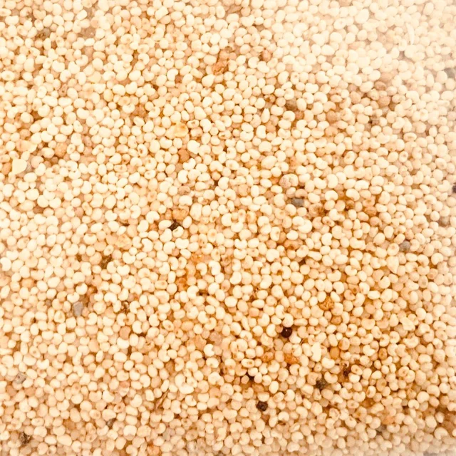 Gasagasalu