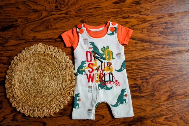 Dinosaur Print Overall