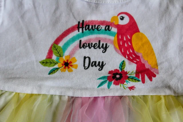 Lovely Day Rainbow Parrot Baby Frock - 9-12 Month