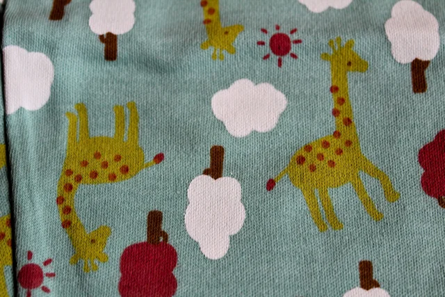 Safari Snuggles” Baby Romper & Pants Set - 1-2 year