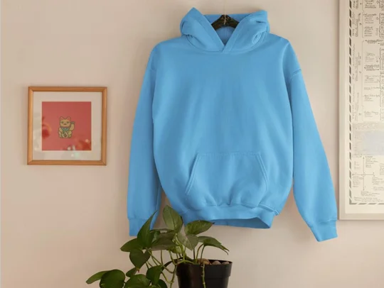 Cozy zaraa Winter Classic Hoodie Collection - L-40, Sky Blue
