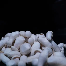 Milky Mushroom - 200gm