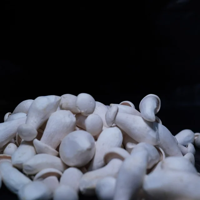 Milky Mushroom - 200gm