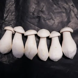 Milky Mushroom - 200gm