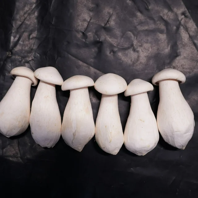 Milky Mushroom - 200gm