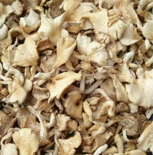  Milky Dry Mushrooms