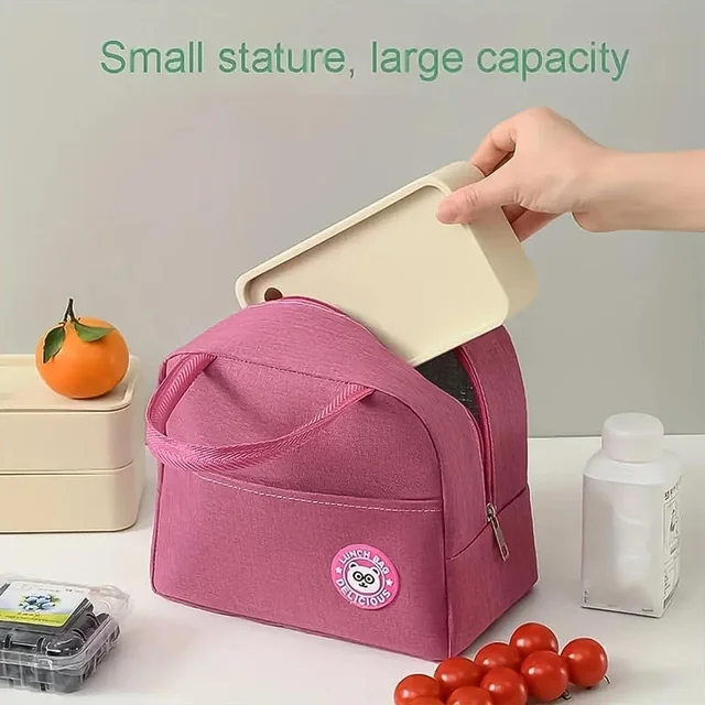 Lunch Box Bag for Women Men Insulated Lunch Bag With Zipper (1 Pc) BX8915