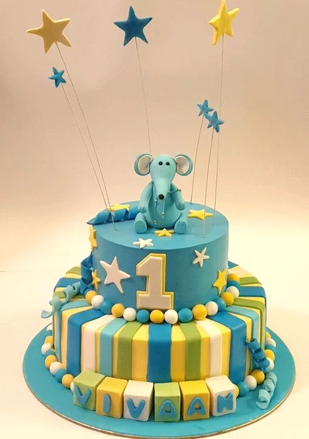 Sugar Paste Cake 