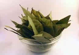 BAY LEAF