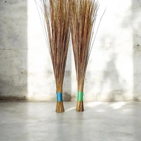 Coconut Broom