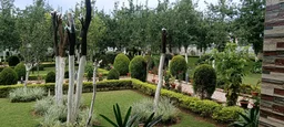Ranchi Betla Netarhat (Couple)- 4N/5D MAP