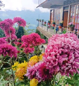 SIKKIM OFFBEAT TOUR - 6N/7D