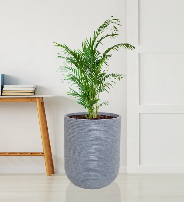 IRIS Tall Planter 14
