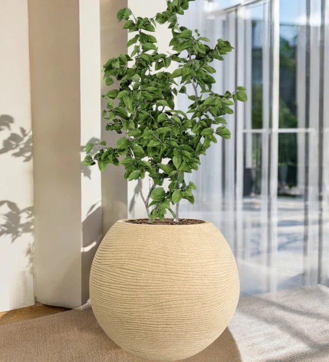 Juniper Planter 15
