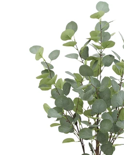 Vrukshveda Eucalyptus Plant Artificial - 3 ft