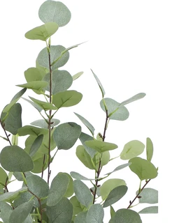 Vrukshveda Eucalyptus Plant Artificial - 3 ft