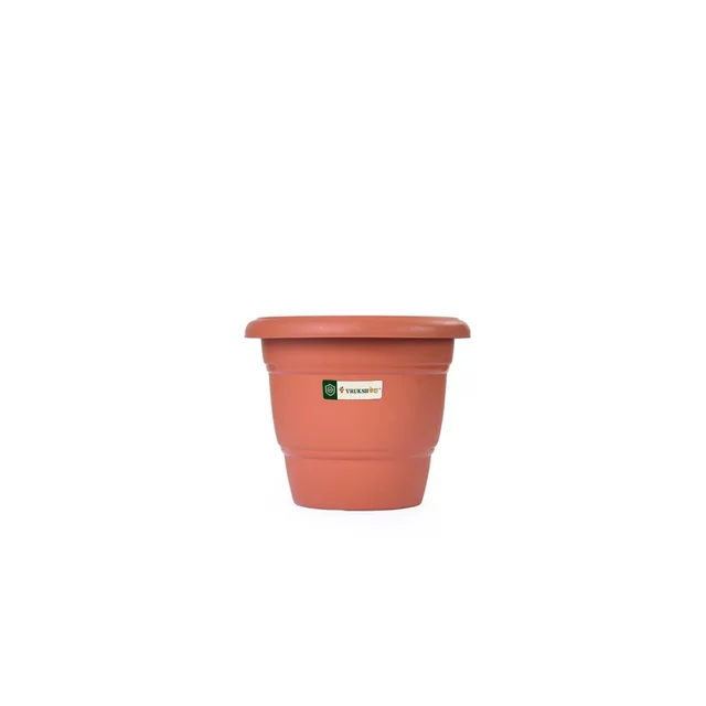 10 Inch Round Pot