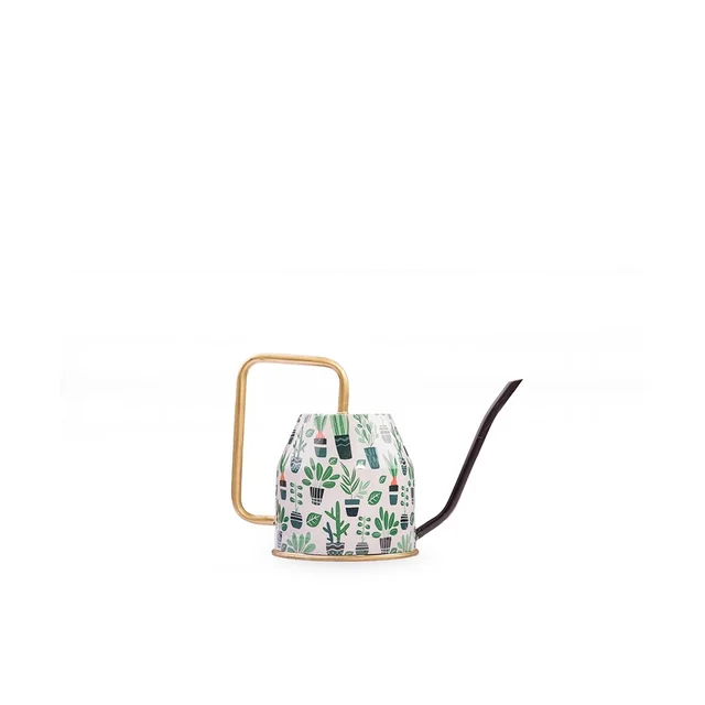 Metal Watering Can (2 Ltrs)
