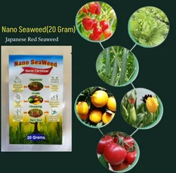 Nano Seaweed (20 Gram)×1pic - Black, 20 Gram × 2 Pic (40 Gram)