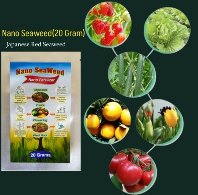 Nano Seaweed (20 Gram)×1pic - Black, 20 Gram × 2 Pic (40 Gram)