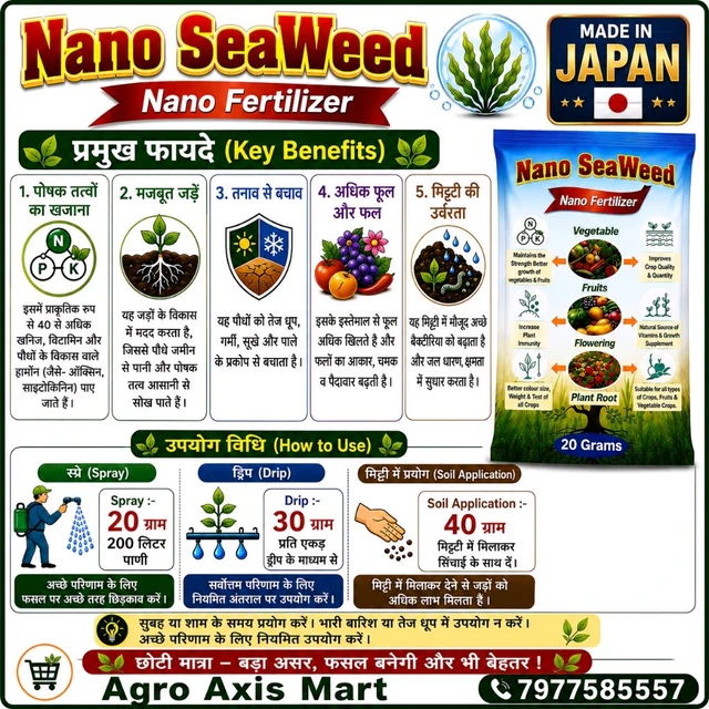 Nano Seaweed (20 Gram)×1pic