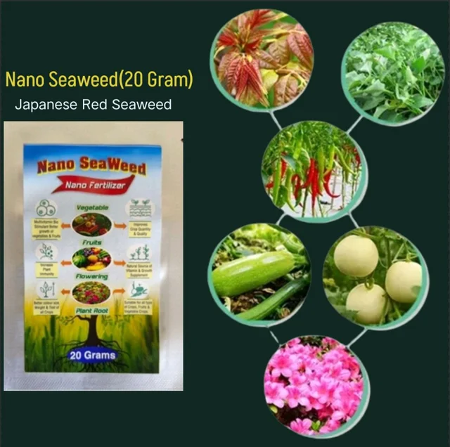 Nano Seaweed (20 Gram)×1pic - Black, 20 Gram × 2 Pic (40 Gram)