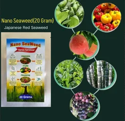 Nano Seaweed (20 Gram)×1pic - Black, 20 Gram × 2 Pic (40 Gram)