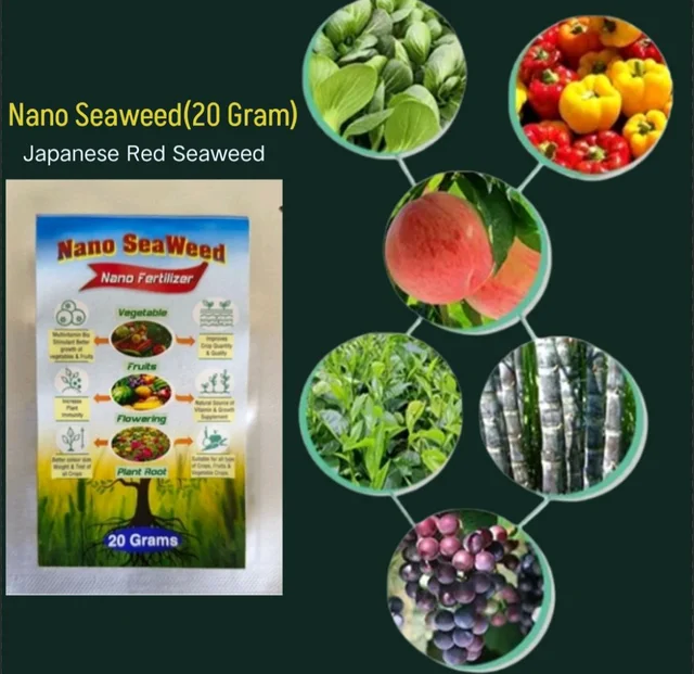 Nano Seaweed (20 Gram)×1pic - Black, 20 Gram × 2 Pic (40 Gram)