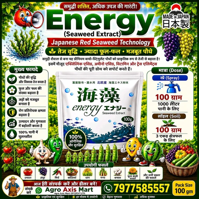  Energy Seaweed Extract (100 Gram)