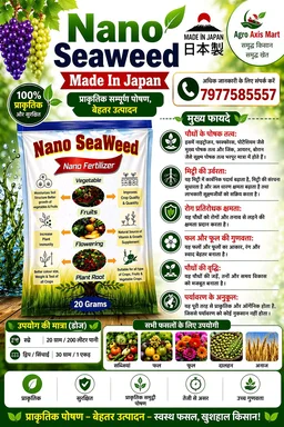 All In One Killer Expert (500Ml) & Nano Seaweed ( 20 Gram) - White, 500 Ml+20gram