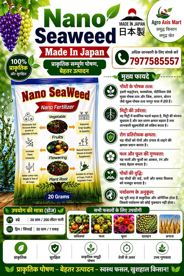 All In One Killer Expert (500Ml) & Nano Seaweed ( 20 Gram) - White, 500 Ml+20gram
