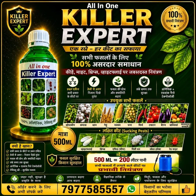 All In One Killer Expert (500ml) - 500 ml × 1 bottel